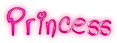 Princess Logo Style