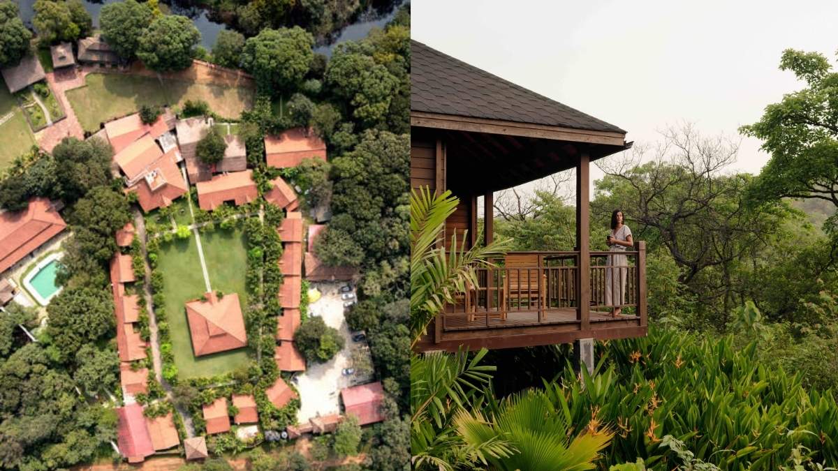 25 Best Forest Resorts In India To Bookmark In 2025