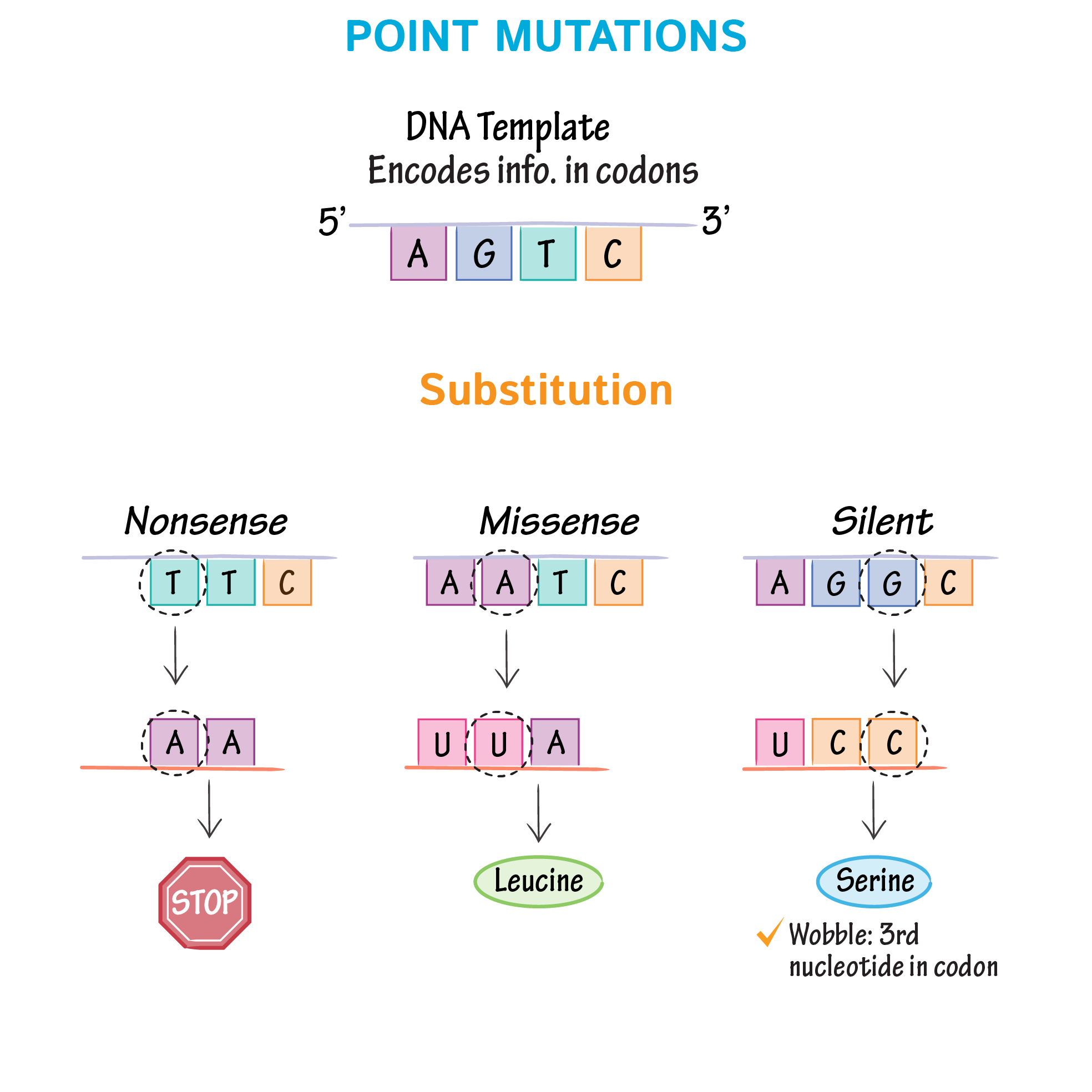 Collection 100+ Pictures Pictures Of Genetic Mutations Completed