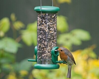 Wild Bird Feeders