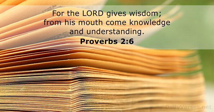 For the LORD gives wisdom; from his mouth come knowledge and understanding. Proverbs 2:6