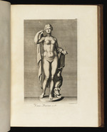 Statue der Venus mit Delphin