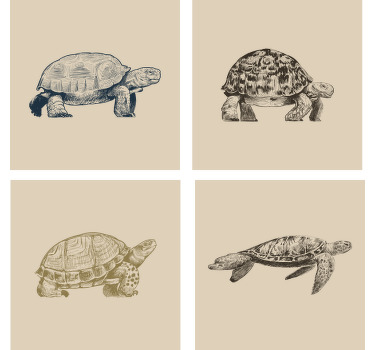 Crteži za kornjače set bež podmetača - TenStickers