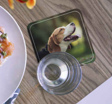 Personalised Dog Photo coasters - TenStickers