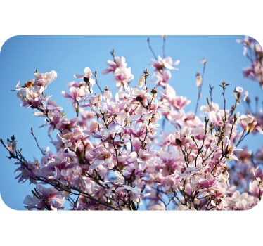 Magnolia träd laptop klistermärke - Tenstickers