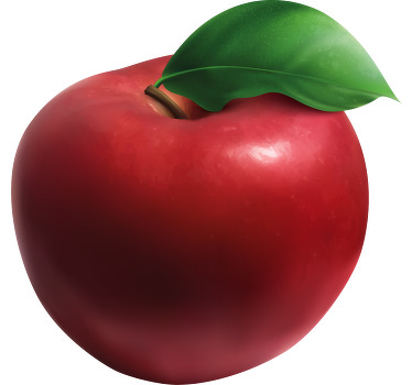 Realistic apple fruit sticker - TenStickers
