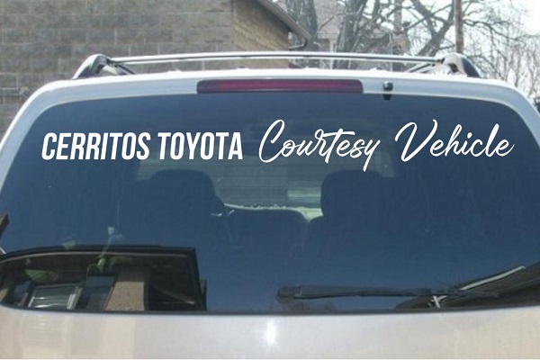 Courtesy Vehicle Decal