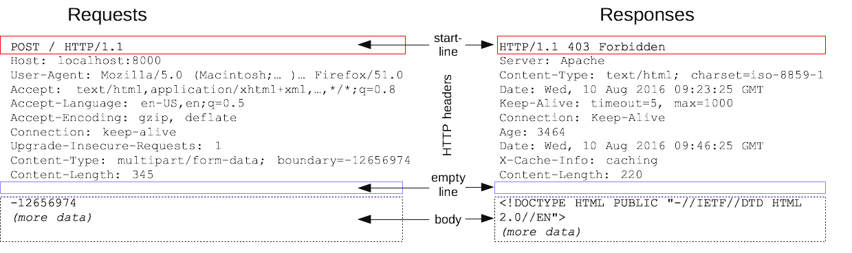 リクエストとレスポンスは HTTP で共通の構造を持っています。