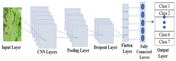 CNN architecture for automated lesion detection in cotton leaf visuals.