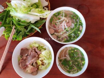 pho lap (8)