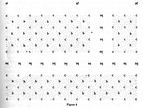 diagram of field planted with corn and beans interspersed with each other separated by rows of squash