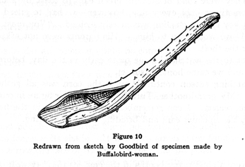 squash leaf stem spoon