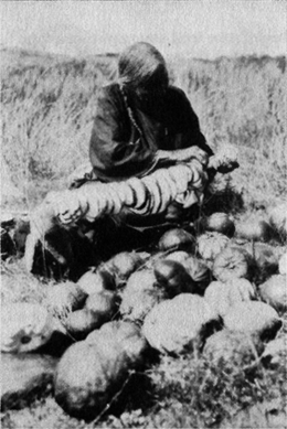 woman preparing squash slices on a spit