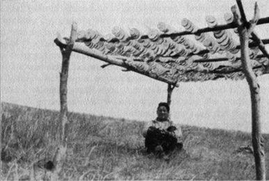 woman sitting underneath squash spits drying on elevated structure