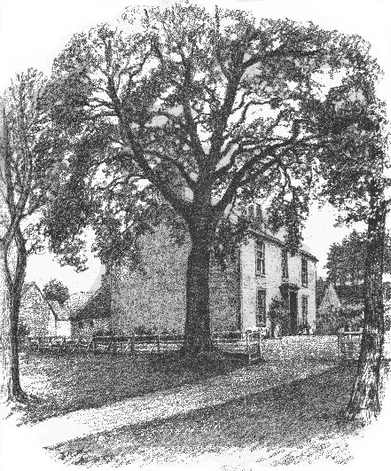 pathway between trees leading to two-story house