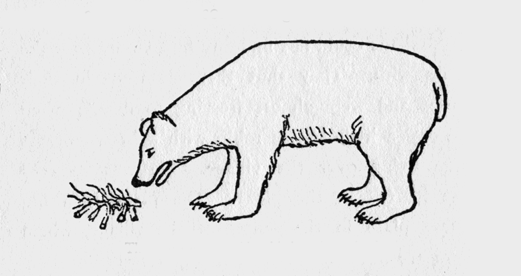 bear standing before fire