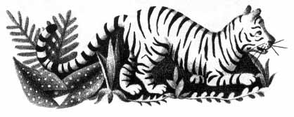 a tiger