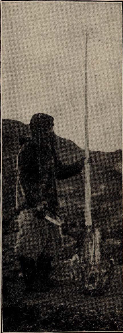 Person standing with Narwhal skull with white Horn Larger than a Man is Tall.