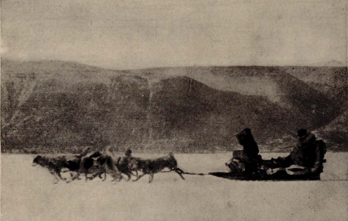 Husky Dogs pulling a sledge Homeward Bound