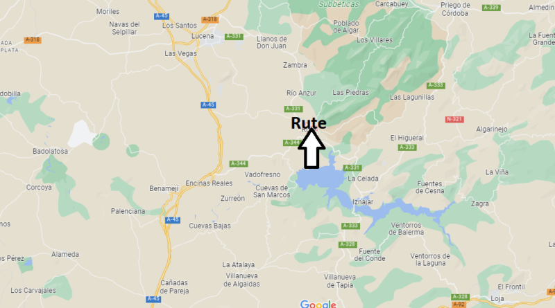 Rute