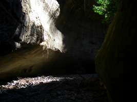 carnarvon gorge