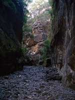 carnarvon gorge