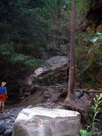 exit from Boowinda Gorge