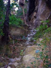 exit from Boowinda Gorge