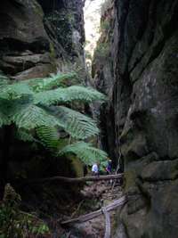 Nabooloo Creek