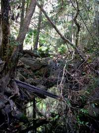 Mickeys creek sign