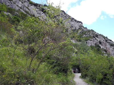 Grotte de La Vache