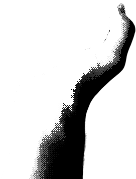 Finger