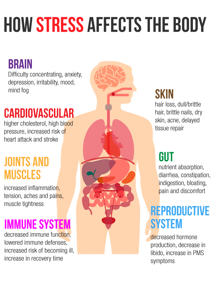 How stress affects the body infographic