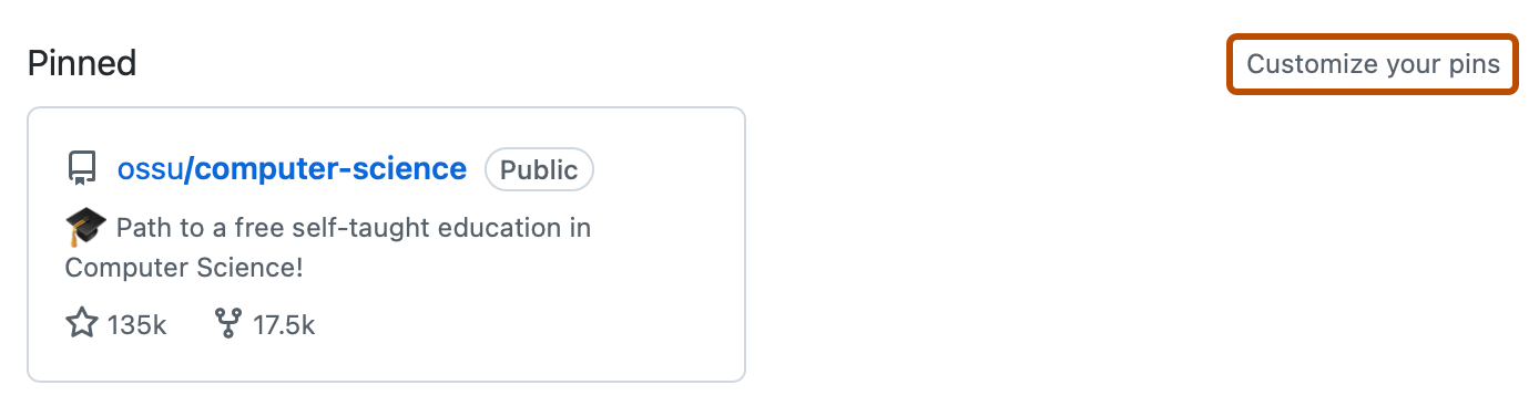 Screenshot of the "Pinned" section of a user profile. A link, labeled "Customize your pins", is highlighted with an orange outline.