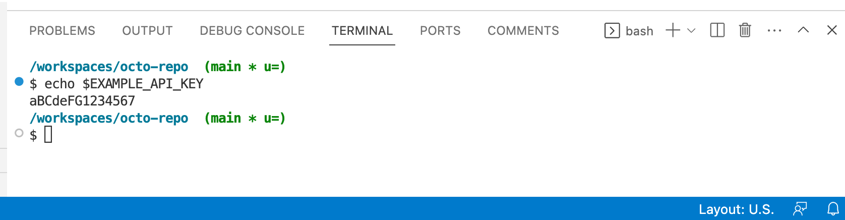 Снимок экрана: терминал в VS Code. Команда "echo $EXAMPLE_API_KEY" вернула "aBCdeFG1234567".