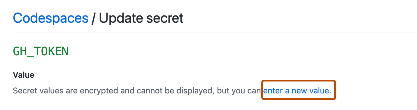 [Codespaces / シークレットの更新] ページのスクリーンショット。 [新しい値の入力] リンクが濃いオレンジ色の枠線で強調表示されます。