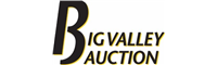 Big Valley Auction