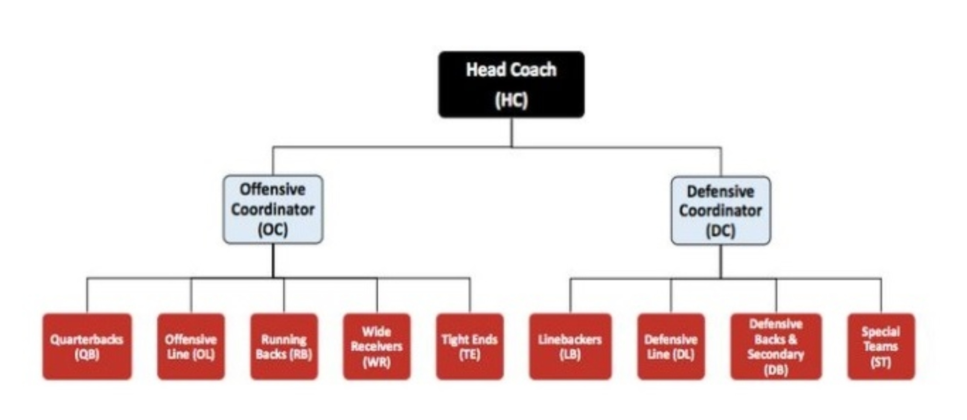 Chi tiết hơn 58 về MLB organizational chart - cdgdbentre.edu.vn