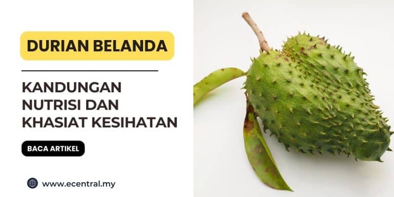 durian belanda