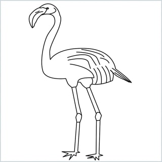 Draw a Flamingo