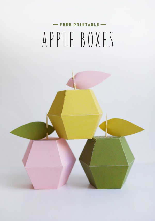 free paper box and bag templates apple boxes