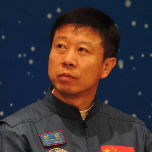 Liu Wang