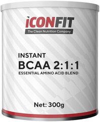 Iconfit BCAA 2:1:1 300 g hind ja info | Aminohapped | kaup24.ee