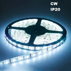 LED-riba 5m CW IP20 hind ja info | LED ribad | kaup24.ee