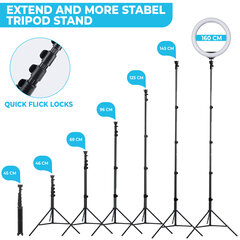 GOAPA Led Rõngavalgusti koos statiiviga 160cm, telefonihoidikud ja Bluetooth puldiga hind ja info | Fotovalgustuse seadmed | kaup24.ee
