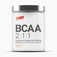 DION SPORTLAB aminohapped BCAA 2:1:1 - Citrus 300g hind ja info | Aminohapped | kaup24.ee