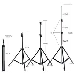 2X professionaalsed fotostuudio valgustid, 50 × 70 + STAND DOUBLE SHOX-003 hind ja info | Fotovalgustuse seadmed | kaup24.ee