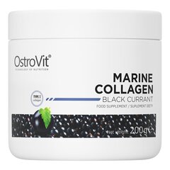 Toidulisand, OstroVit Marine Collagen Mustsõstramaitseline, 200 g цена и информация | Витамины, пищевые добавки, препараты для красоты | kaup24.ee