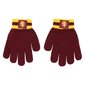 Lastele müts, sall ja kindad Harry Potter S0734650, punane hind ja info | Laste aksessuaarid | kaup24.ee