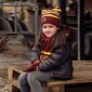 Lastele müts, sall ja kindad Harry Potter S0734650, punane hind ja info | Laste aksessuaarid | kaup24.ee